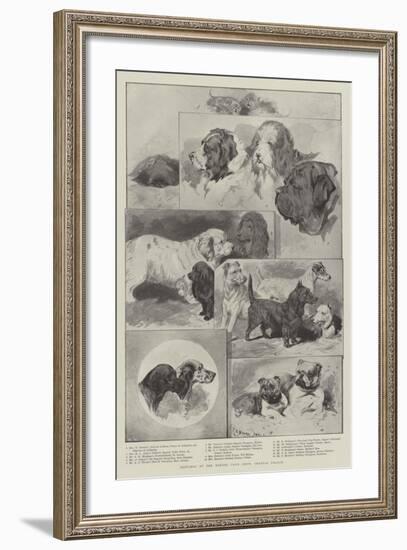 Sketches at the Kennel Club Show, Crystal Palace-null-Framed Giclee Print