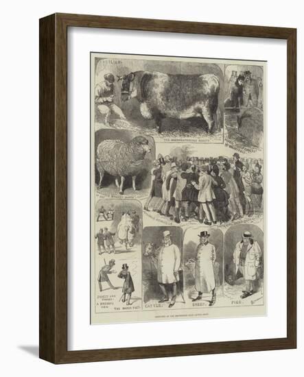 Sketches at the Smithfield Club Cattle Show-Alfred Courbould-Framed Giclee Print