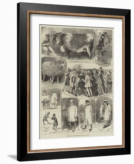 Sketches at the Smithfield Club Cattle Show-Alfred Courbould-Framed Giclee Print