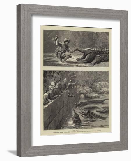 Sketches from India, the Sacred Alligators at Muggur Talao, Scinde-null-Framed Giclee Print