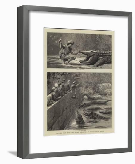 Sketches from India, the Sacred Alligators at Muggur Talao, Scinde-null-Framed Giclee Print