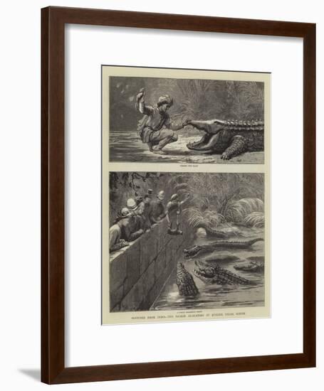 Sketches from India, the Sacred Alligators at Muggur Talao, Scinde-null-Framed Giclee Print