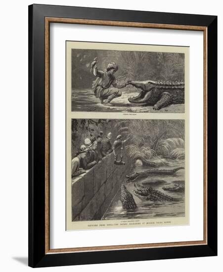 Sketches from India, the Sacred Alligators at Muggur Talao, Scinde-null-Framed Giclee Print