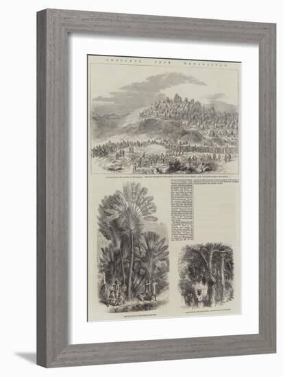 Sketches from Madagascar-null-Framed Giclee Print