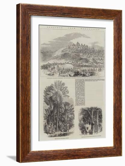 Sketches from Madagascar-null-Framed Giclee Print