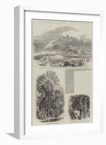 Sketches from Madagascar-null-Framed Giclee Print