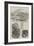 Sketches from Madagascar-null-Framed Giclee Print