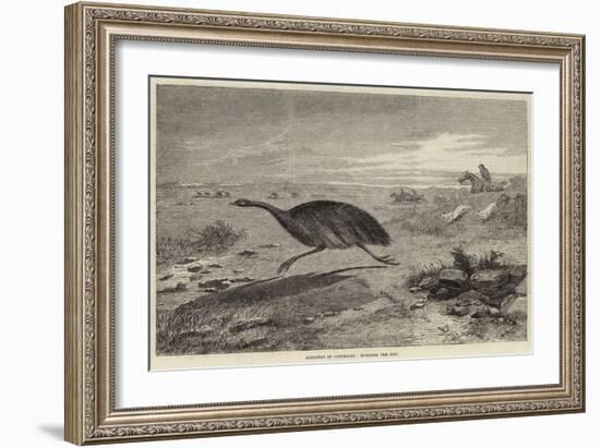 Sketches in Australia, Hunting the Emu-null-Framed Giclee Print