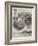 Sketches in Brazil-Charles Auguste Loye-Framed Giclee Print