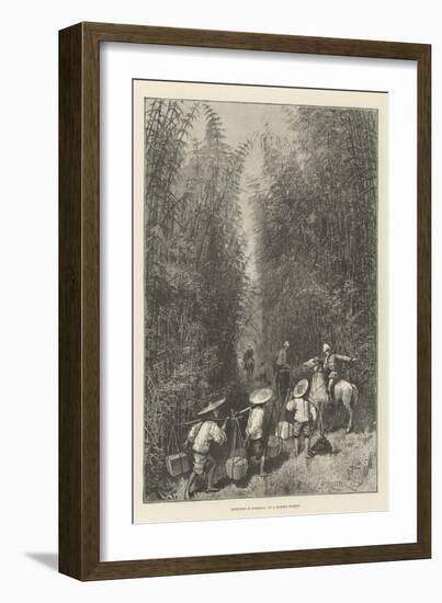 Sketches in Formosa, in a Bamboo Forest-Amedee Forestier-Framed Giclee Print