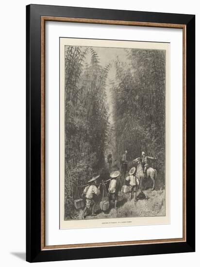 Sketches in Formosa, in a Bamboo Forest-Amedee Forestier-Framed Giclee Print