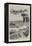 Sketches in Natal-Joseph Holland Tringham-Framed Premier Image Canvas