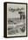 Sketches in Natal-Joseph Holland Tringham-Framed Premier Image Canvas