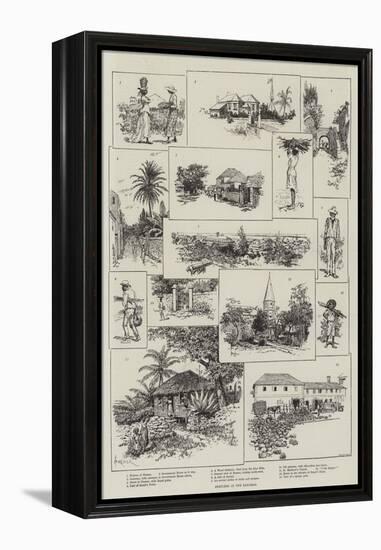 Sketches in the Bahamas-Amedee Forestier-Framed Premier Image Canvas