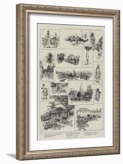 Sketches in the Bahamas-Amedee Forestier-Framed Giclee Print