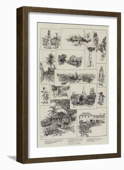 Sketches in the Bahamas-Amedee Forestier-Framed Giclee Print