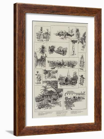 Sketches in the Bahamas-Amedee Forestier-Framed Giclee Print