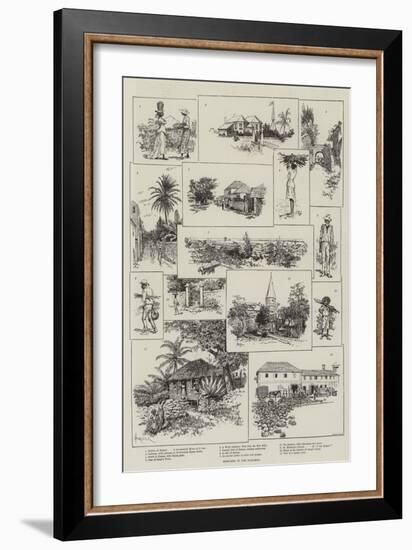 Sketches in the Bahamas-Amedee Forestier-Framed Giclee Print