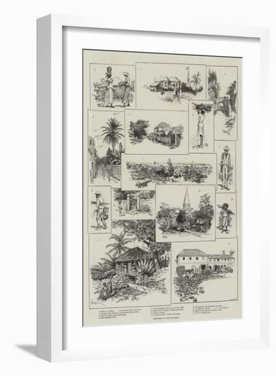 Sketches in the Bahamas-Amedee Forestier-Framed Giclee Print
