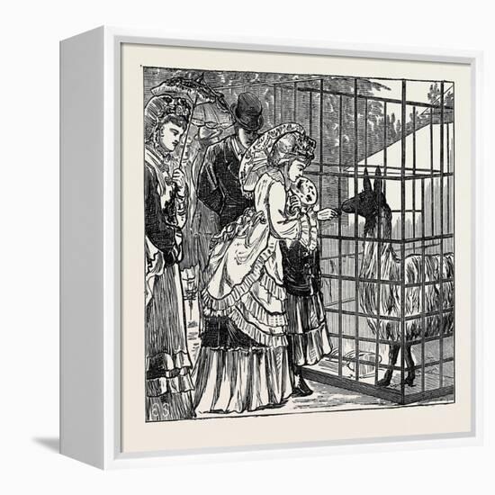 Sketches in the International Exhibition: the Llama 1871-null-Framed Premier Image Canvas