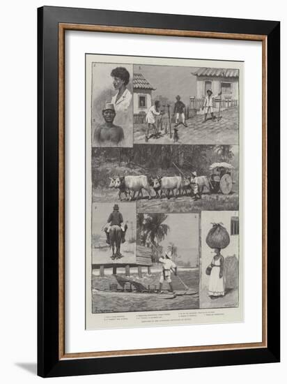 Sketches in the Northern Provinces of Brazil-Amedee Forestier-Framed Giclee Print