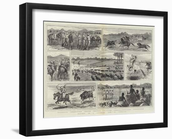 Sketches of a Stockman's Life in Australia-Alfred Courbould-Framed Giclee Print