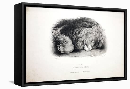 Sketches of Animals at the Zoological Gardens-Edward Lear-Framed Premier Image Canvas