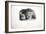 Sketches of Animals at the Zoological Gardens-Edward Lear-Framed Giclee Print