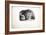 Sketches of Animals at the Zoological Gardens-Edward Lear-Framed Giclee Print