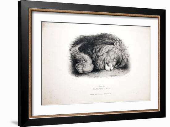 Sketches of Animals at the Zoological Gardens-Edward Lear-Framed Giclee Print