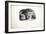 Sketches of Animals at the Zoological Gardens-Edward Lear-Framed Giclee Print