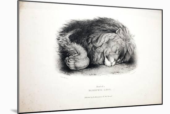 Sketches of Animals at the Zoological Gardens-Edward Lear-Mounted Giclee Print