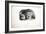 Sketches of Animals at the Zoological Gardens-Edward Lear-Framed Giclee Print