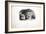 Sketches of Animals at the Zoological Gardens-Edward Lear-Framed Giclee Print