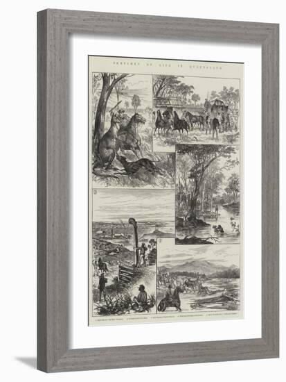 Sketches of Life in Queensland-null-Framed Giclee Print