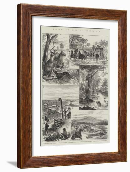 Sketches of Life in Queensland-null-Framed Giclee Print