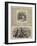 Sketches of Norway-null-Framed Giclee Print