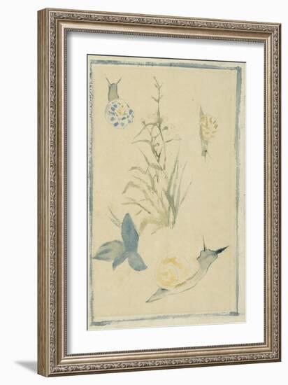 Sketches of Snails, Flowering Plant, C.1880-Edouard Manet-Framed Giclee Print