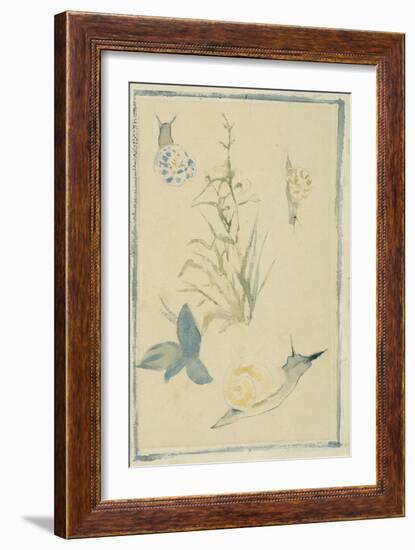 Sketches of Snails, Flowering Plant, C.1880-Edouard Manet-Framed Giclee Print