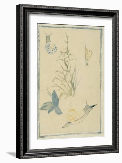 Sketches of Snails, Flowering Plant, C.1880-Edouard Manet-Framed Giclee Print