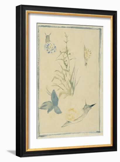 Sketches of Snails, Flowering Plant, C.1880-Edouard Manet-Framed Giclee Print