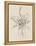 Sketches of Spring II Beige-Danhui Nai-Framed Stretched Canvas