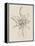 Sketches of Spring II Beige-Danhui Nai-Framed Stretched Canvas