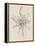 Sketches of Spring II Beige-Danhui Nai-Framed Stretched Canvas