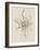 Sketches of Spring II Beige-Danhui Nai-Framed Art Print