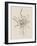 Sketches of Spring II Beige-Danhui Nai-Framed Art Print