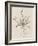 Sketches of Spring II Beige-Danhui Nai-Framed Art Print