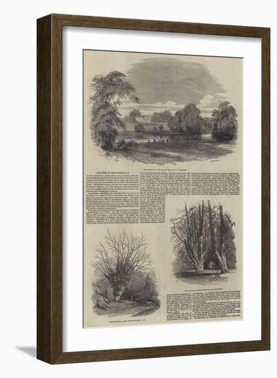 Sketches of Strathfieldsay-Samuel Read-Framed Giclee Print