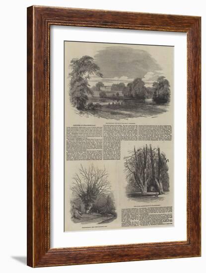 Sketches of Strathfieldsay-Samuel Read-Framed Giclee Print
