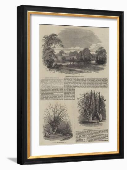 Sketches of Strathfieldsay-Samuel Read-Framed Giclee Print